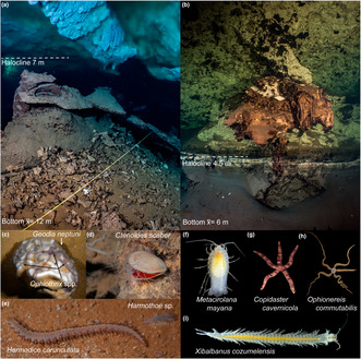 graphic file with name ECE3-13-e10415-g005.jpg