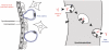 F<sc>ig.</sc> 3