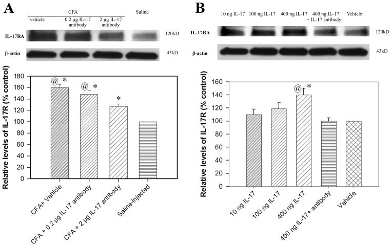 Fig. 12