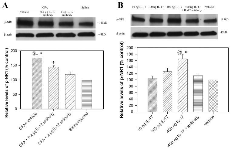 Fig. 11