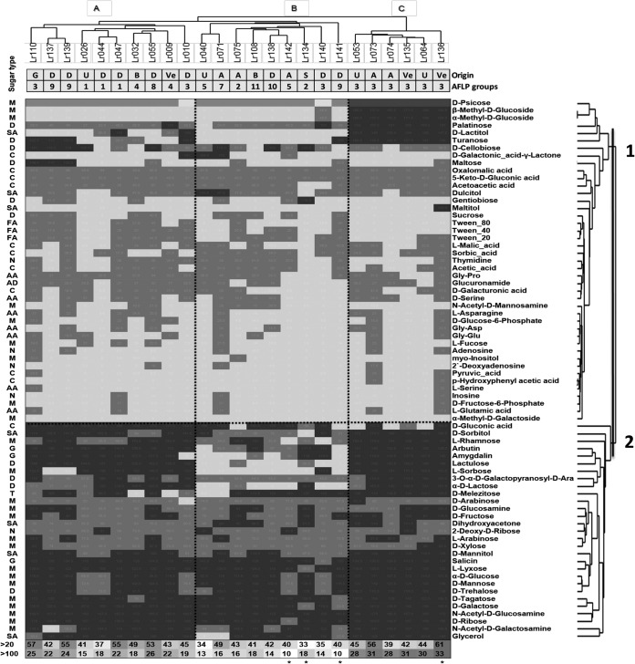 FIG 2