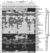 FIG 2