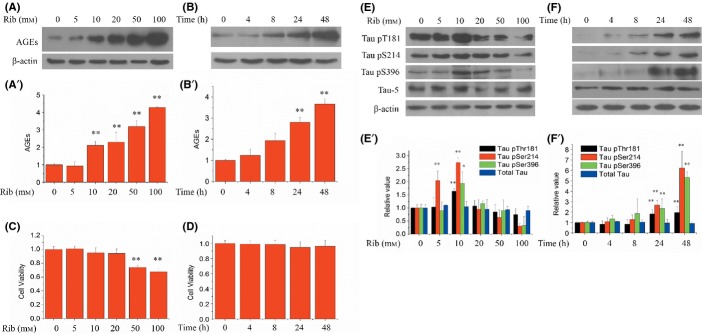 Fig 3