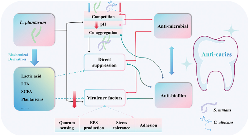 Figure 2.
