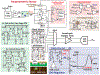 Figure 20.3.3: