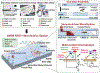 Figure 20.3.1: