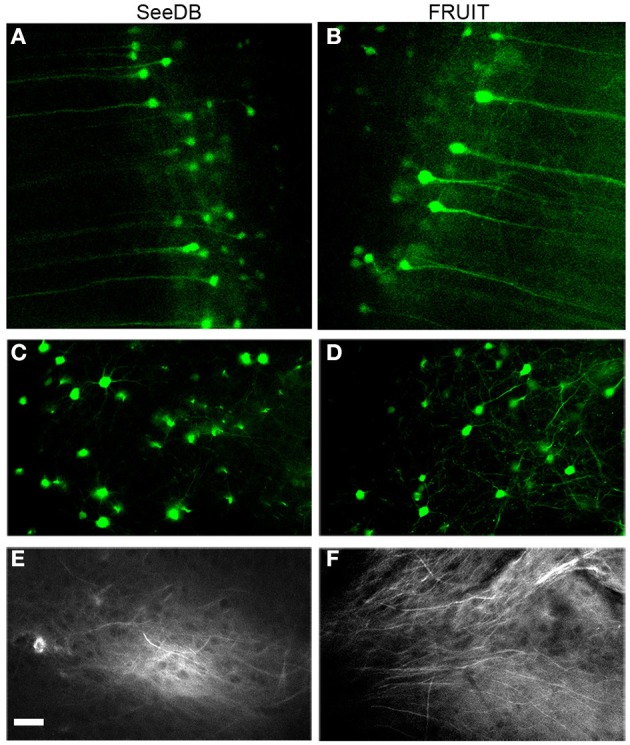 Figure 6