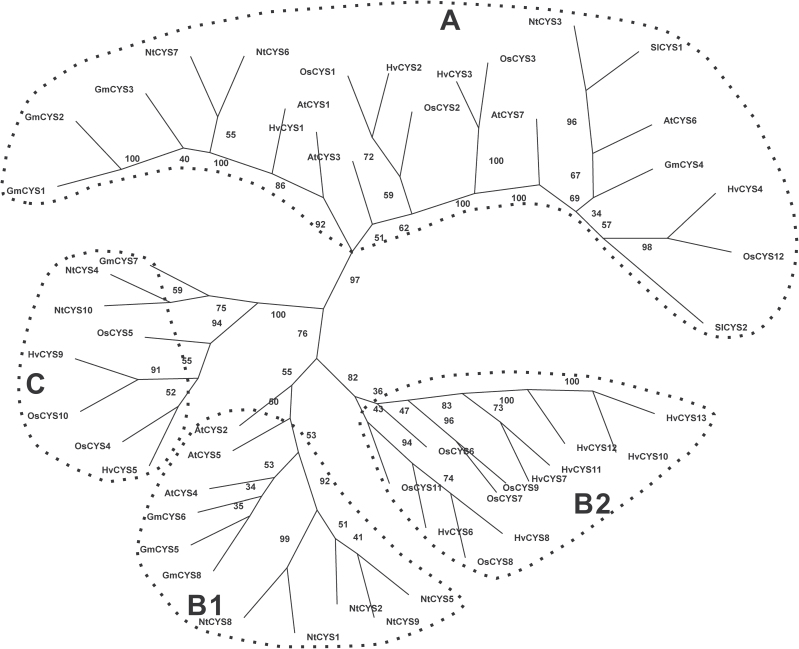 Fig. 3.