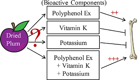 graphic file with name nihms935603u1.jpg