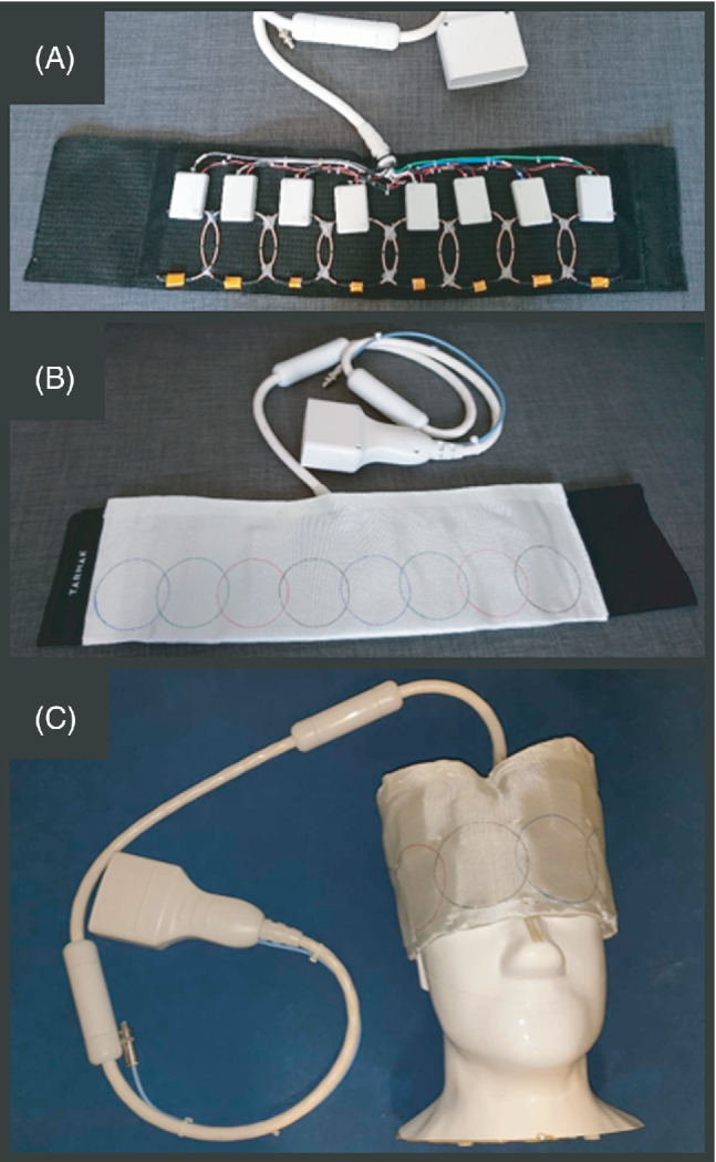 MRM-29259-FIG-0001-c