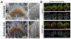 Fig. 3.