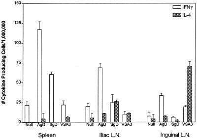 FIG. 7