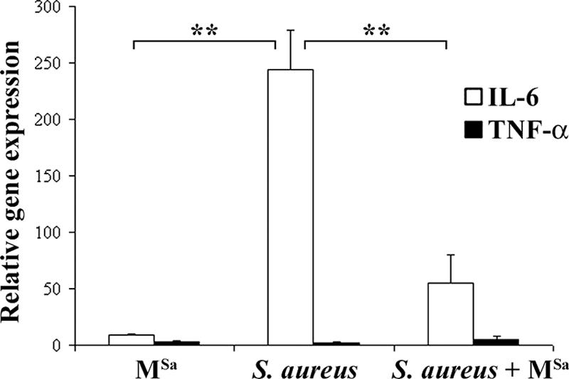 FIG. 5.