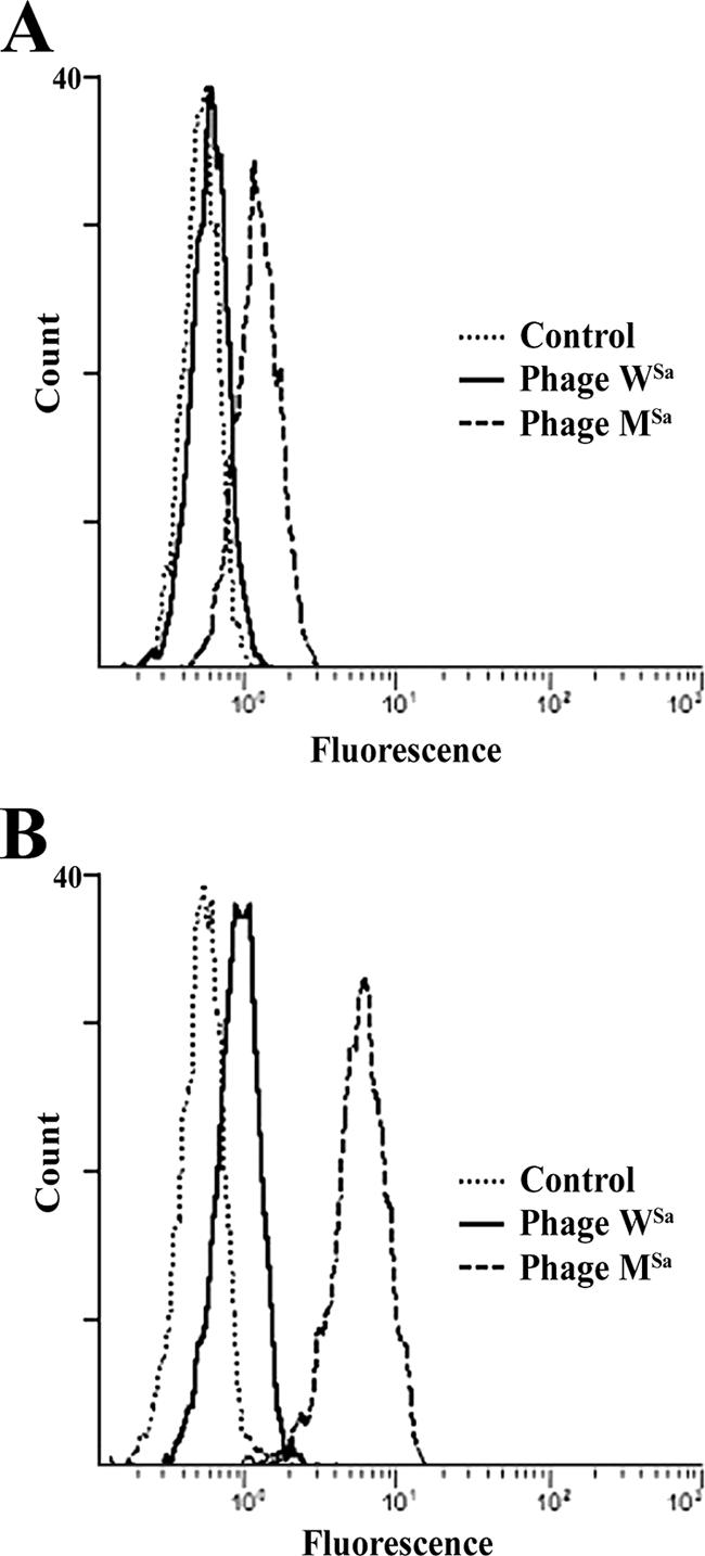 FIG. 1.