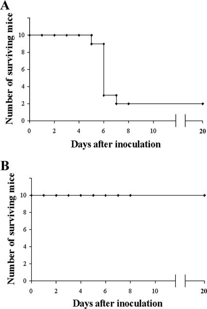 FIG. 6.