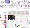 Fig. 3 |