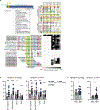 Extended Data Fig. 9 |