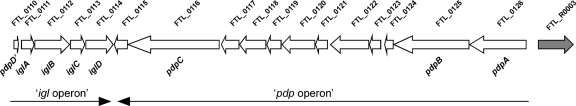 FIG. 8.