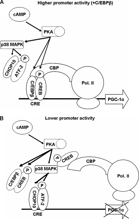 FIGURE 11.