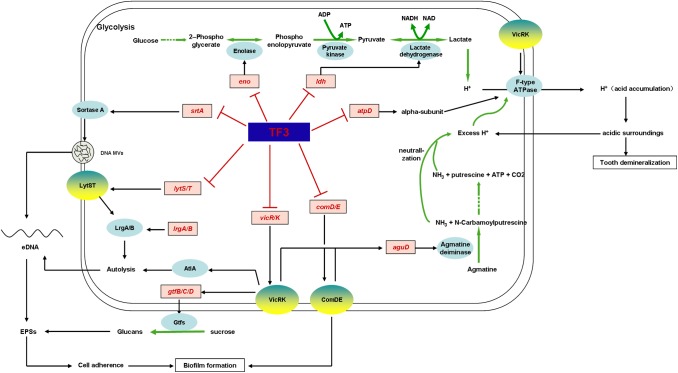 FIGURE 10