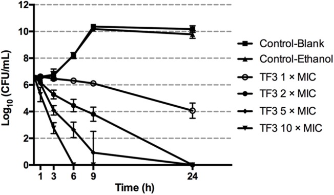 FIGURE 2