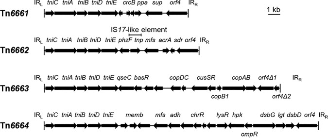 FIG 6