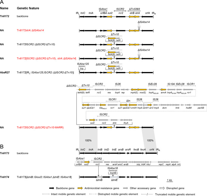 FIG 3