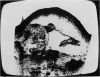331