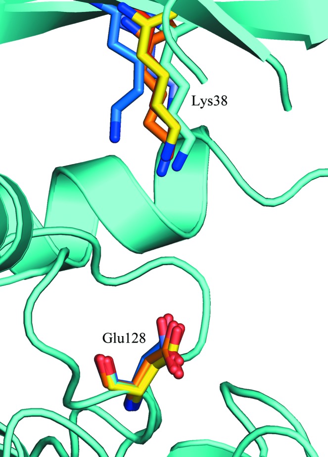 Figure 4