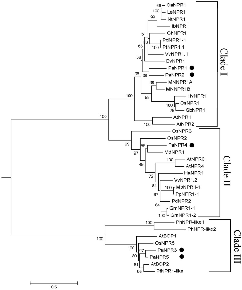 FIGURE 2