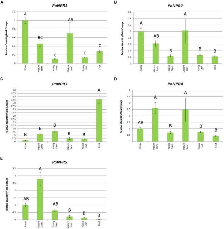 FIGURE 4