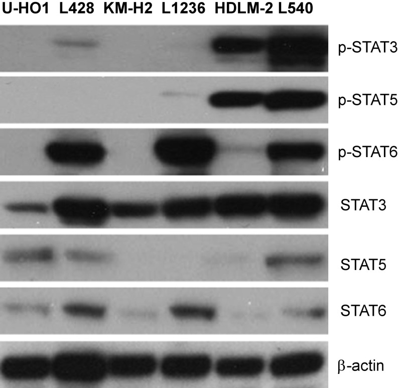 Fig. S1.