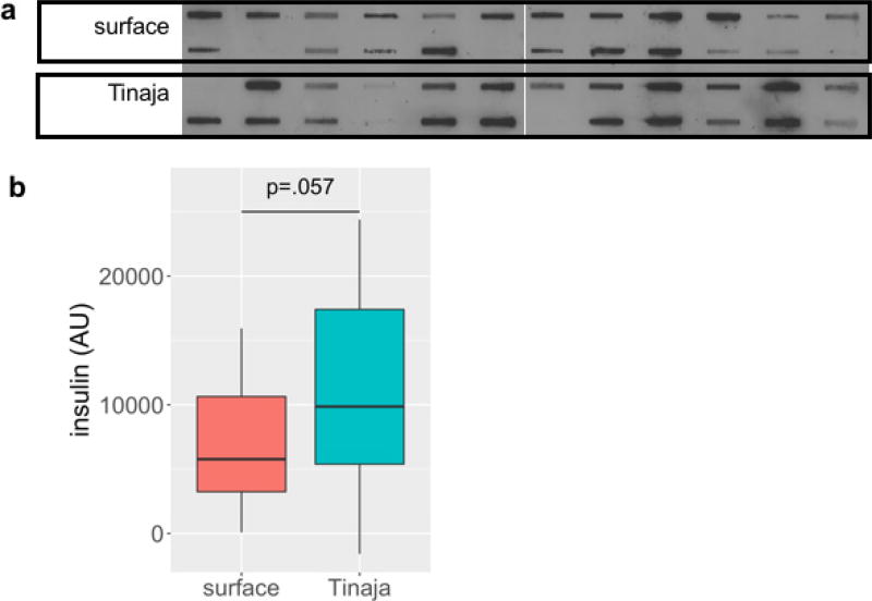 Extended Data Figure 3