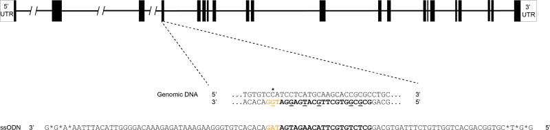 Extended Data Figure 7