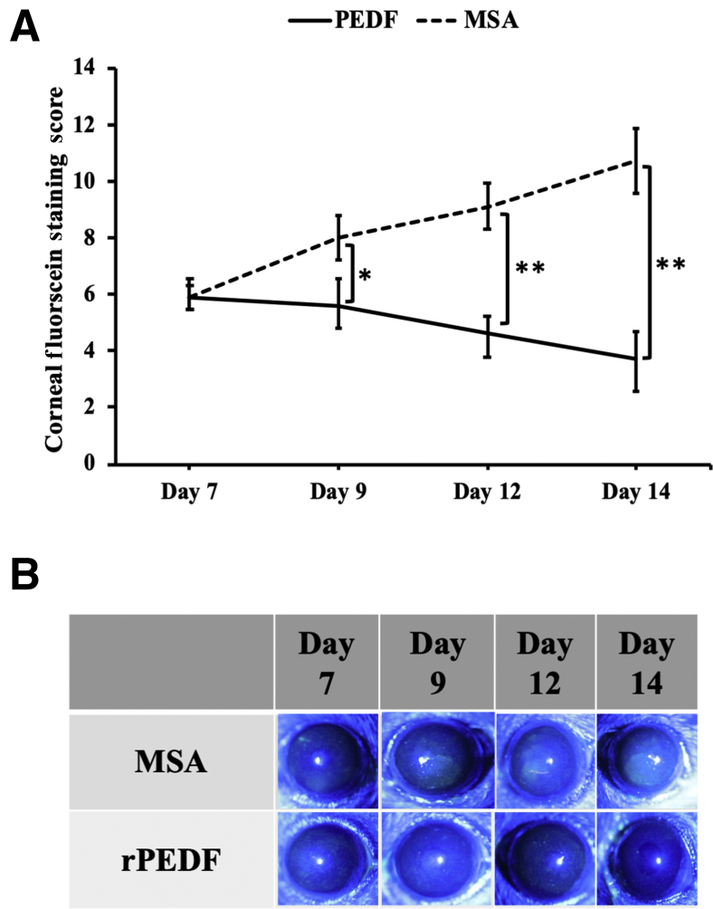 Figure 6