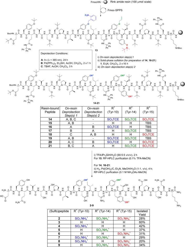 Scheme 2