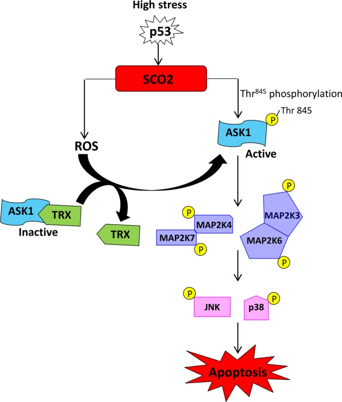 Fig 10