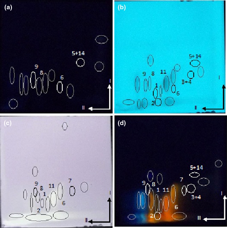 Fig. 3