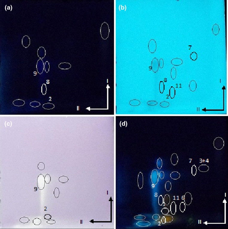 Fig. 4