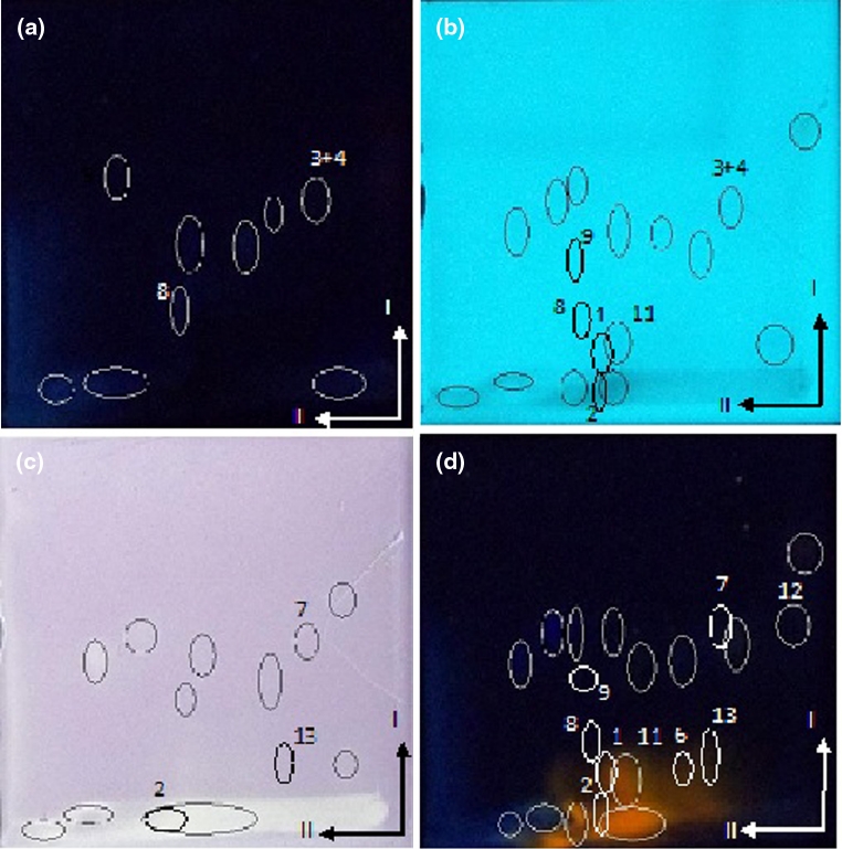 Fig. 2