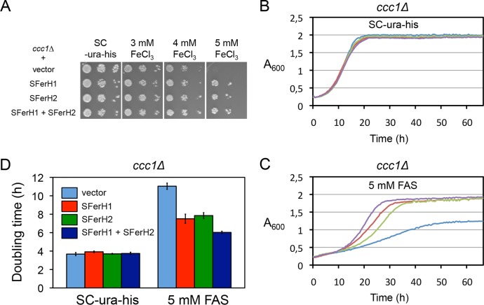 FIG 3