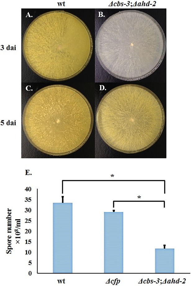 Fig 7