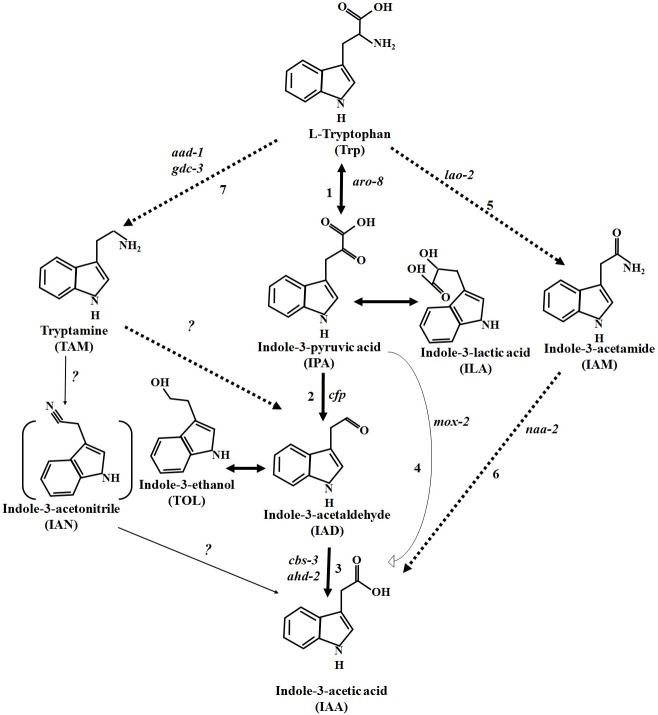 Fig 4