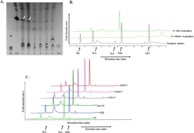 Fig 3