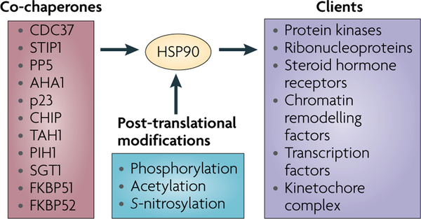 Figure 2 |