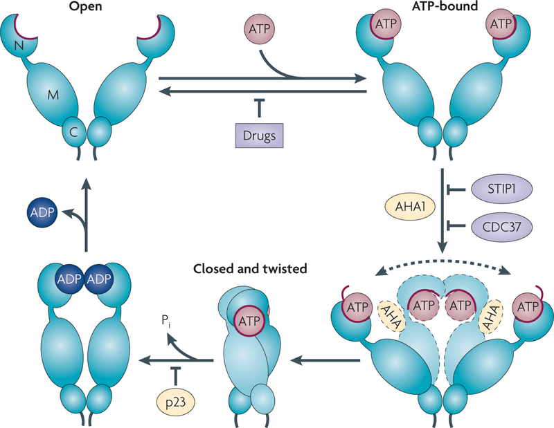 Figure 1 |