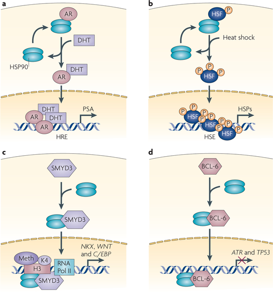 Figure 3 |