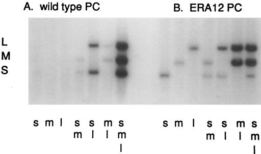 FIG. 14