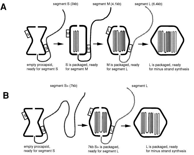 FIG. 11