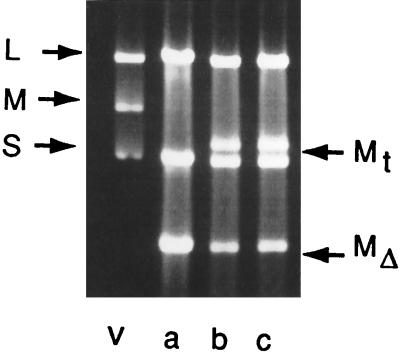 FIG. 10